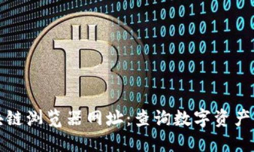 TP钱包区块链浏览器网址：查询数字资产的便捷工具