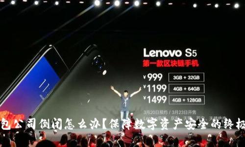 冷钱包公司倒闭怎么办？保障数字资产安全的终极指南