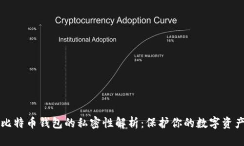 比特币钱包的私密性解析：保护你的数字资产