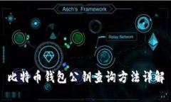 比特币钱包公钥查询方法详解