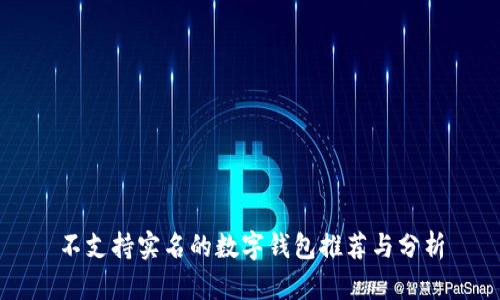 不支持实名的数字钱包推荐与分析