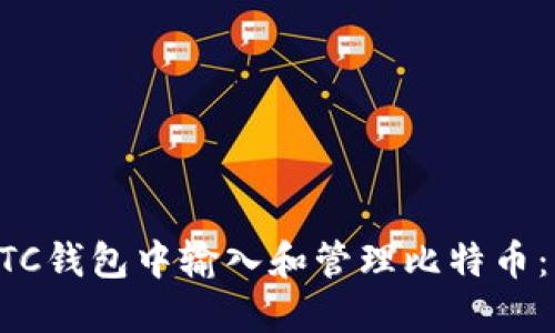 如何在BTC钱包中输入和管理比特币：详细指南